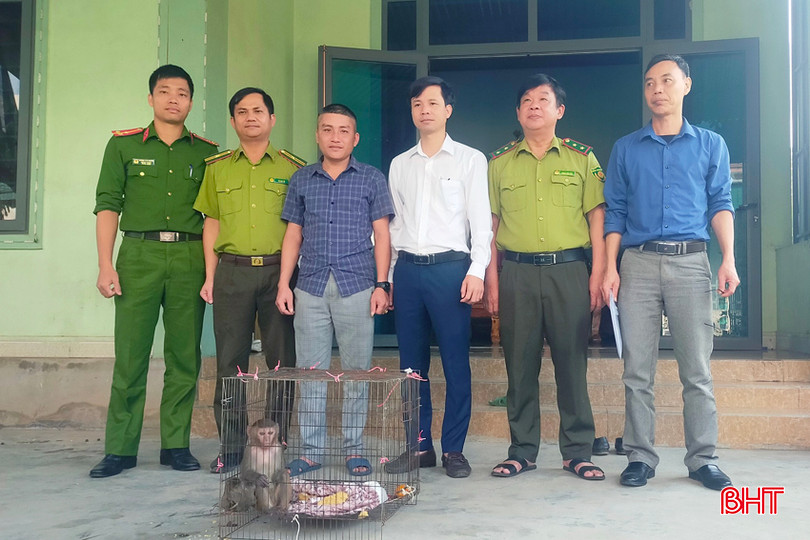 Ông Nguyễn Xuân Nam ở xã Cẩm Hưng (Cẩm Xuyên) bàn giao 1 cá thể khit Vàng cho lực lượng chức năng..jpg