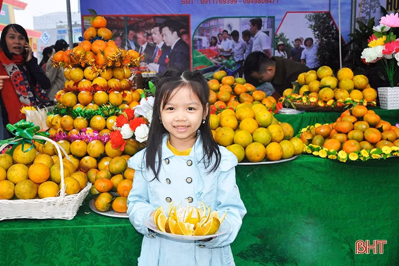 Mê mẩn những hàng cam chín mọng tại hội chợ nông sản lớn nhất Hà Tĩnh