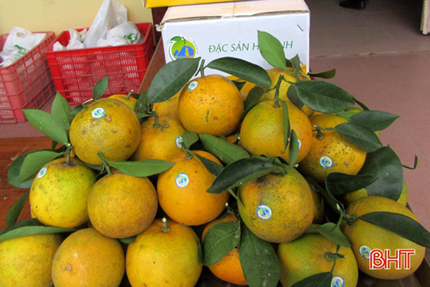 Can Lộc sẵn sàng 10 gian hàng cho Lễ hội Cam và các sản phẩm nông nghiệp