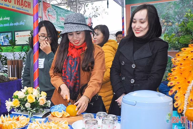 Mê mẩn những hàng cam chín mọng tại hội chợ nông sản lớn nhất Hà Tĩnh