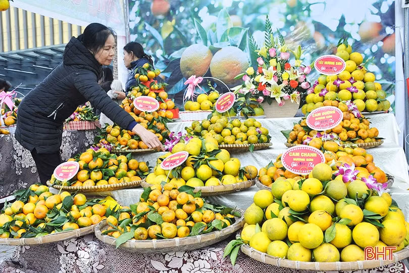 Mê mẩn những hàng cam chín mọng tại hội chợ nông sản lớn nhất Hà Tĩnh