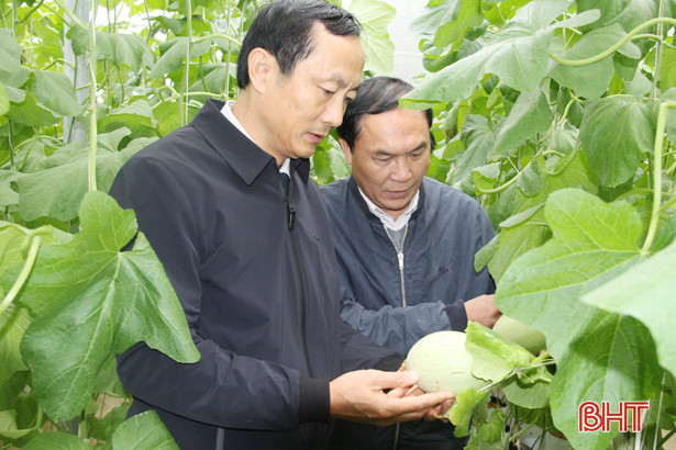 Đoàn cán bộ Trung ương tham quan nông thôn mới huyện Nghi Xuân