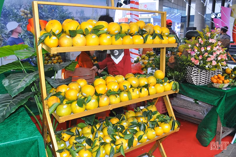 Mê mẩn những hàng cam chín mọng tại hội chợ nông sản lớn nhất Hà Tĩnh
