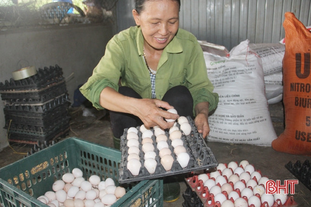 Hà Tĩnh phấn đấu sản lượng thịt hơi xuất chuồng đạt 117.400 tấn
