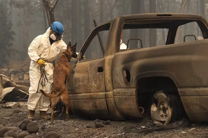 Nhìn lại những thảm họa thiên nhiên kinh hoàng năm 2018