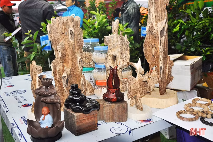 Mê mẩn những hàng cam chín mọng tại hội chợ nông sản lớn nhất Hà Tĩnh