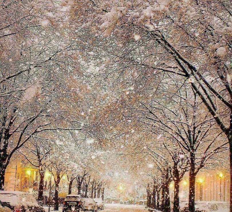 Vòng quanh thế giới ngắm mùa đông phủ trắng băng tuyết