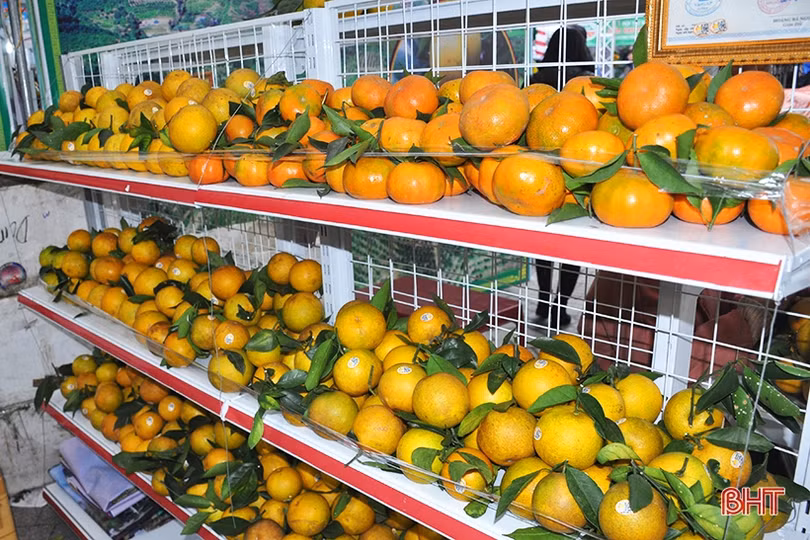 Mê mẩn những hàng cam chín mọng tại hội chợ nông sản lớn nhất Hà Tĩnh