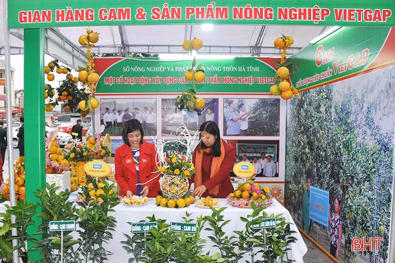 Mê mẩn những hàng cam chín mọng tại hội chợ nông sản lớn nhất Hà Tĩnh