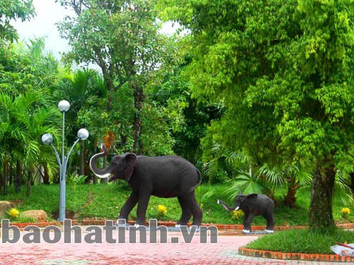 Vườn tiểu cảnh