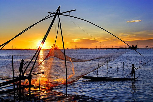 Ảnh minh họa từ internet.