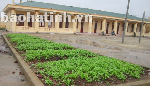 Rau sạch trong khuôn viên nhà máy được sử dụng phân hữu cơ