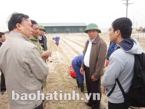 Phó Chủ tịch UBND tỉnh Lê Đình Sơn trao đổi trực tiếp với chuyên gia nước ngoài tại khu 6 ha