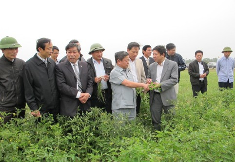 và thăm vùng sản xuất rau màu tập trung ở xã Thiên Lộc (Can Lộc)