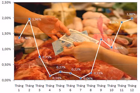 Diễn biến lạm phát trong năm 2010. Số liệu: GSO