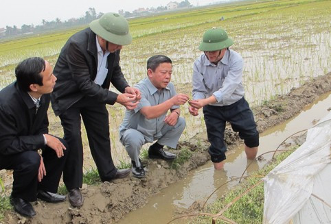kiểm tra công tác phòng chống rét cho cây mạ...