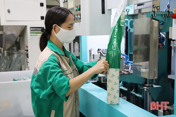 Vì sao giá lúa hè thu đầu vụ tại Hà Tĩnh xuống thấp?