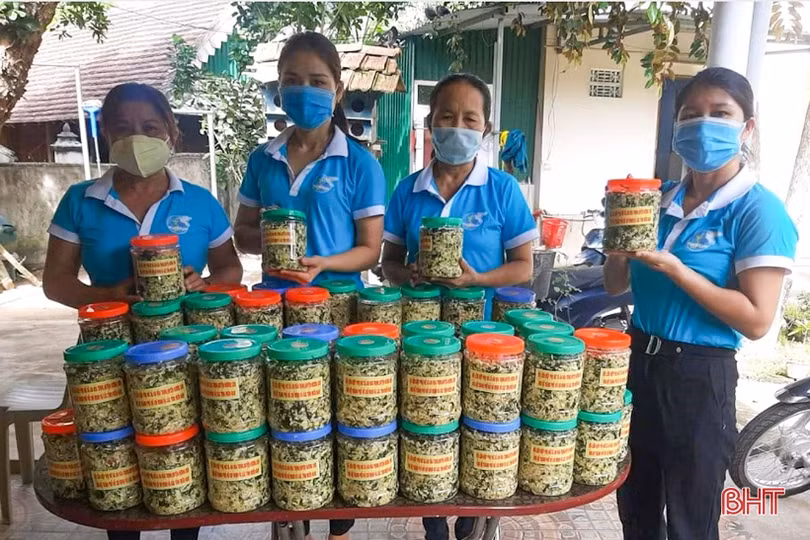 Phụ nữ Hà Tĩnh bền bỉ thực hiện “mục tiêu kép”