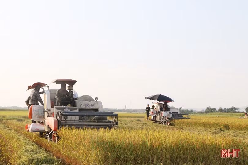 Nông nghiệp Hà Tĩnh đột phá lớn…