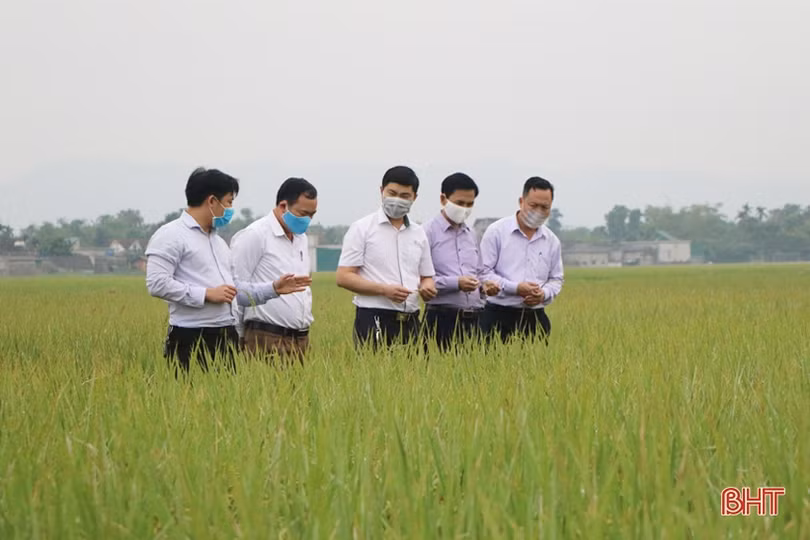 Nông nghiệp Hà Tĩnh đột phá lớn…