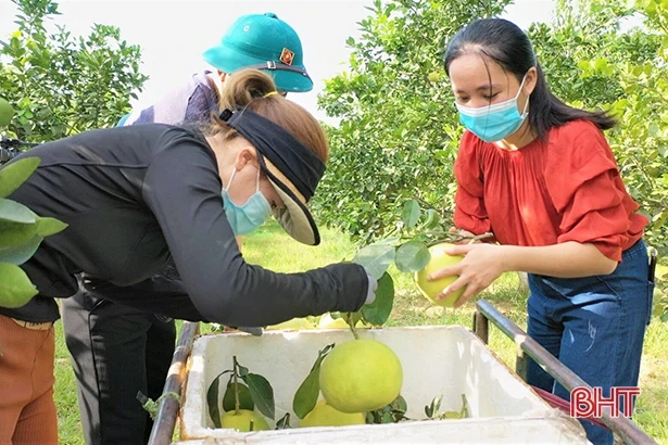 Nữ giám đốc 16 năm theo đuổi giấc mơ đưa đặc sản Hà Tĩnh vượt luỹ tre làng