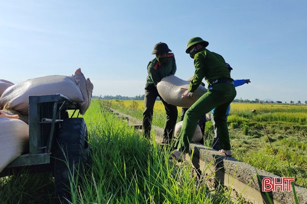 Tuổi trẻ Công an Cẩm Xuyên giúp dân gặt lúa sau khi đổi ca trực chốt