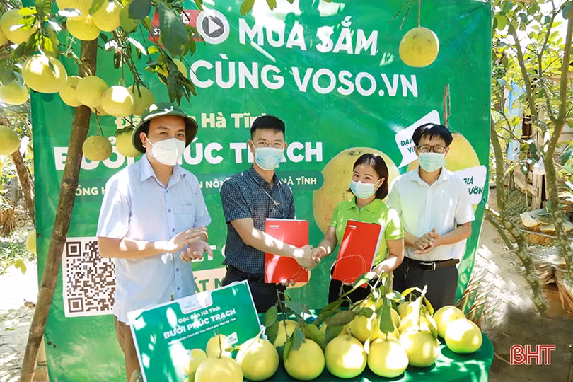 Chính thức tiêu thụ bưởi Phúc Trạch qua Sàn Thương mại điện tử Voso.vn