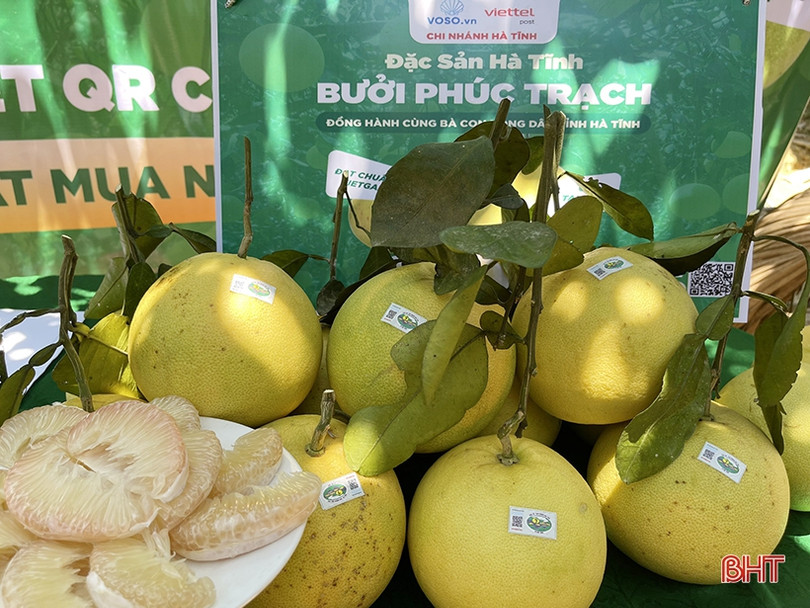 Chính thức tiêu thụ bưởi Phúc Trạch qua Sàn Thương mại điện tử Voso.vn