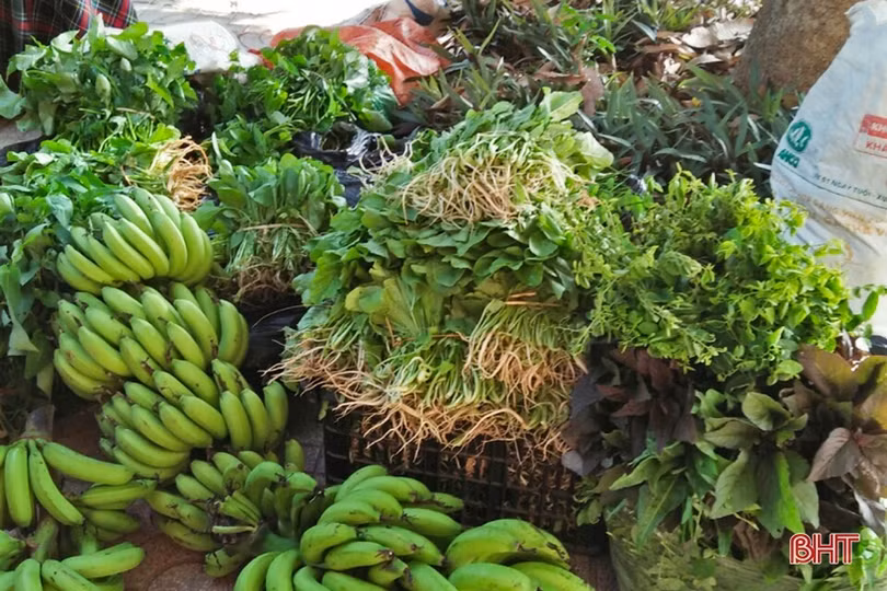 Phụ nữ Hà Tĩnh bền bỉ thực hiện “mục tiêu kép”