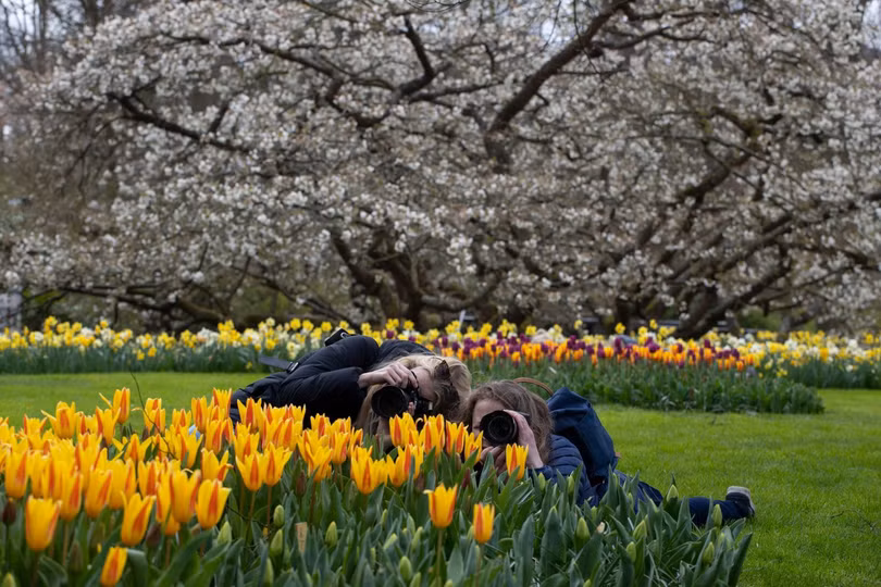 Nơi được mệnh danh “Khu vườn của châu Âu”