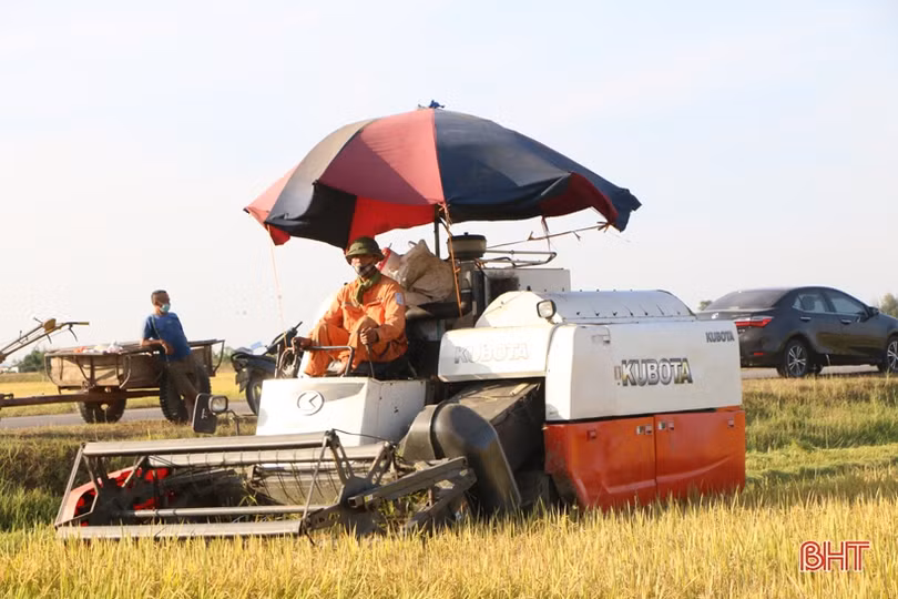 Điều tiết máy gặt hợp lý, chuẩn bị cho cao điểm thu hoạch lúa hè thu ở Hà Tĩnh