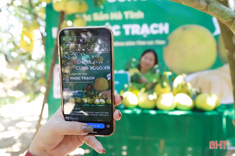 Hơn 150 tấn bưởi Phúc Trạch được kết nối tiêu thụ qua sàn thương mại điện tử