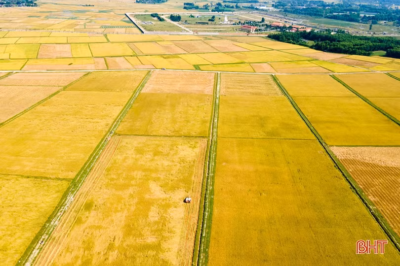 Nông nghiệp Hà Tĩnh đột phá lớn…