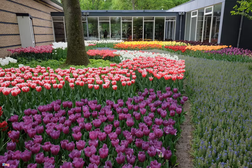 Nơi được mệnh danh “Khu vườn của châu Âu”