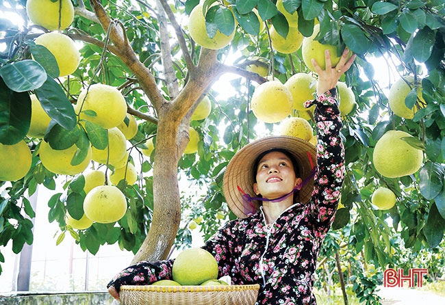 Phát huy tinh thần 50 năm Chiến thắng Đồng Lộc, quyết tâm xây dựng Hà Tĩnh giàu đẹp