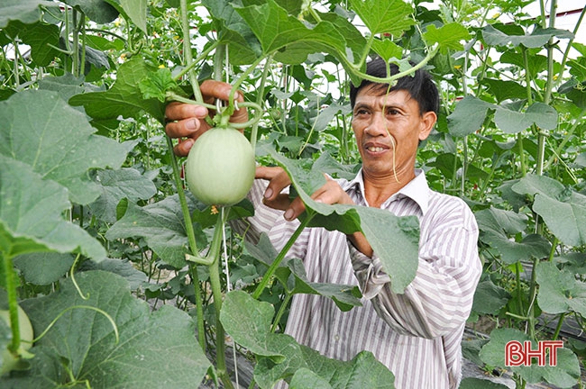Phát huy tinh thần 50 năm Chiến thắng Đồng Lộc, quyết tâm xây dựng Hà Tĩnh giàu đẹp