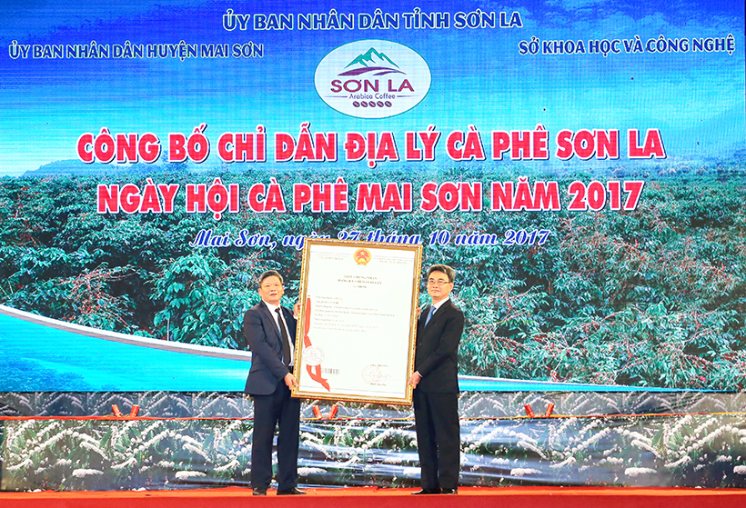Cà phê Sơn La - hành trình tạo nên thương hiệu
