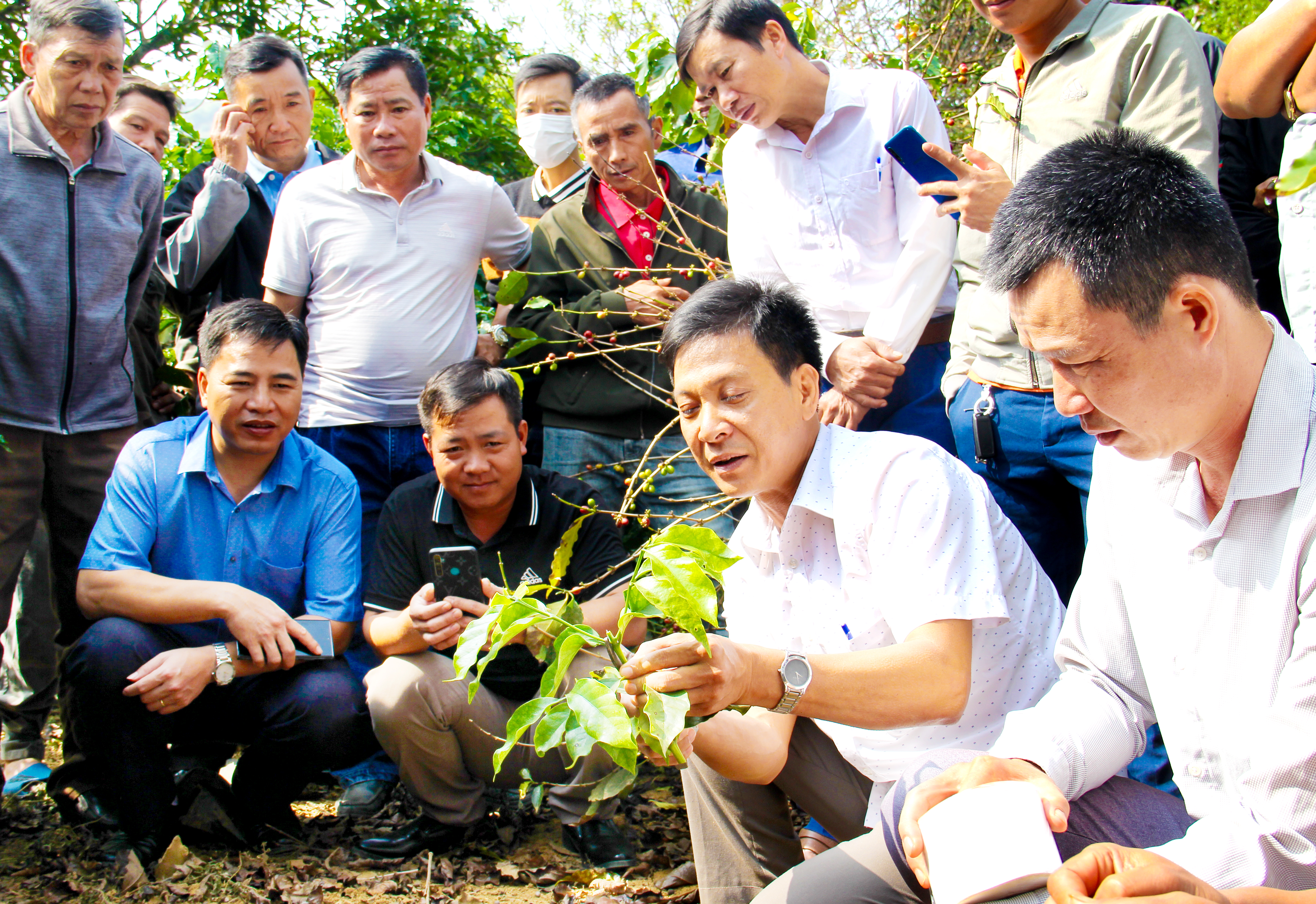 Cà phê Sơn La - hành trình tạo nên thương hiệu
