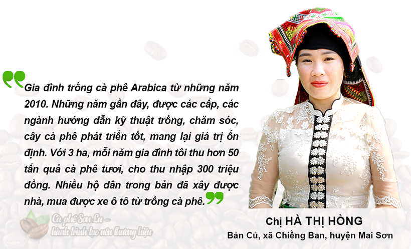Cà phê Sơn La - hành trình tạo nên thương hiệu