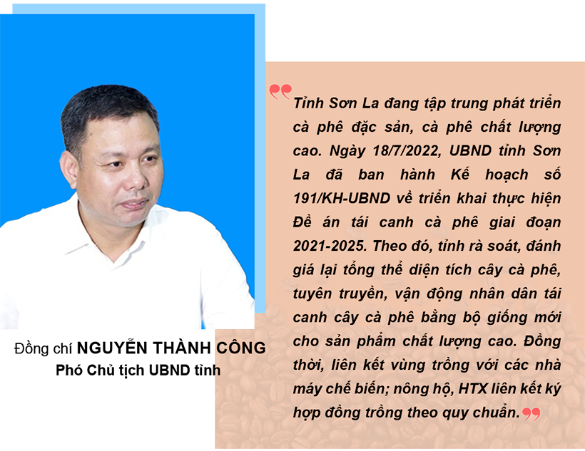 Cà phê Sơn La - hành trình tạo nên thương hiệu