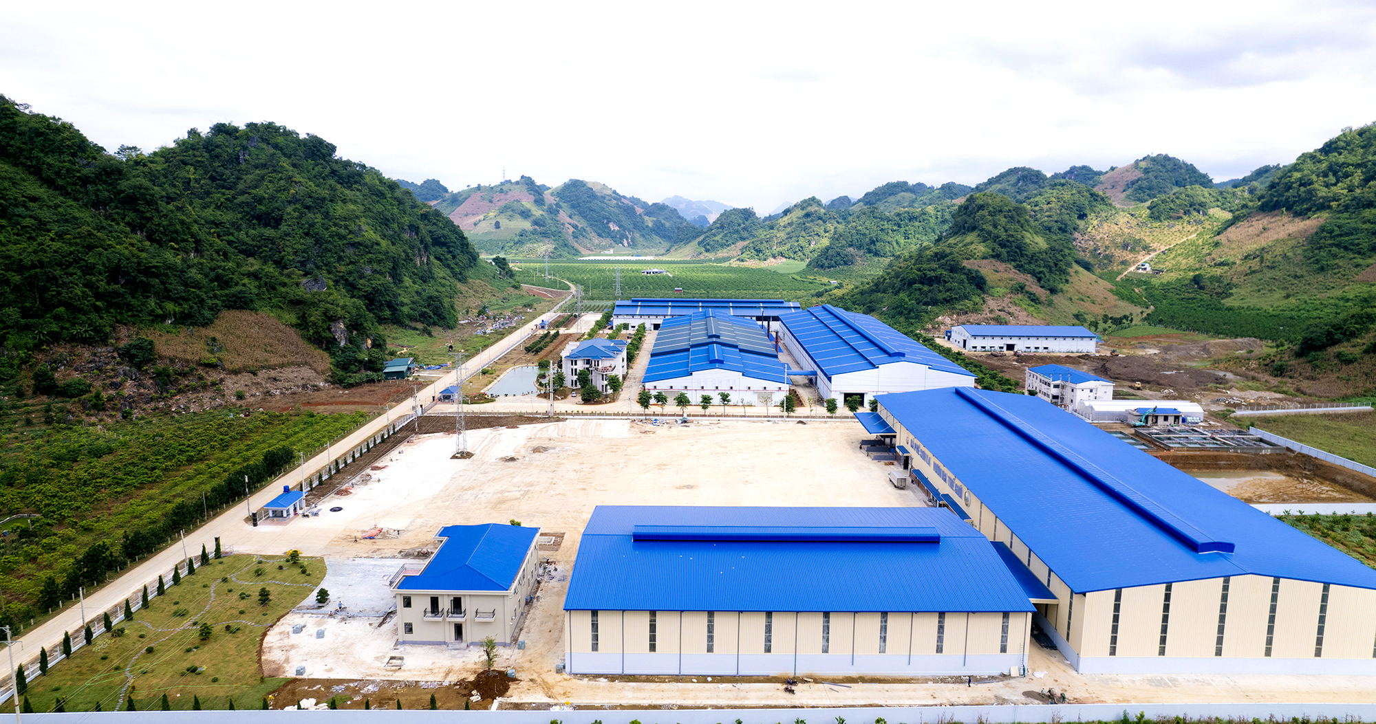 Cà phê Sơn La - hành trình tạo nên thương hiệu