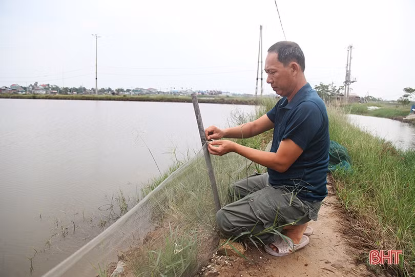 Người dân Hà Tĩnh tất bật bảo vệ ao đầm, lồng bè thủy sản trước bão số 7