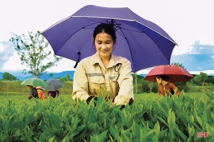 Dấu ấn học tập và làm theo gương Bác ở Hương Sơn