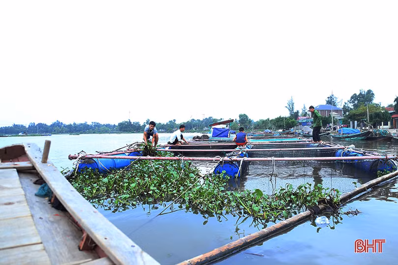 Người dân Hà Tĩnh tất bật bảo vệ ao đầm, lồng bè thủy sản trước bão số 7