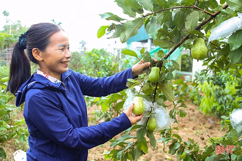 Cán bộ, đảng viên, Nhân dân tâm huyết bàn giải pháp đưa Nghị quyết Đại hội Đảng bộ Hà Tĩnh lần thứ XIX vào cuộc sống ảnh 5 Cán bộ, đảng viên, Nhân dân tâm huyết bàn giải pháp đưa Nghị quyết Đại hội Đảng bộ Hà Tĩnh lần thứ XIX vào cuộc sống