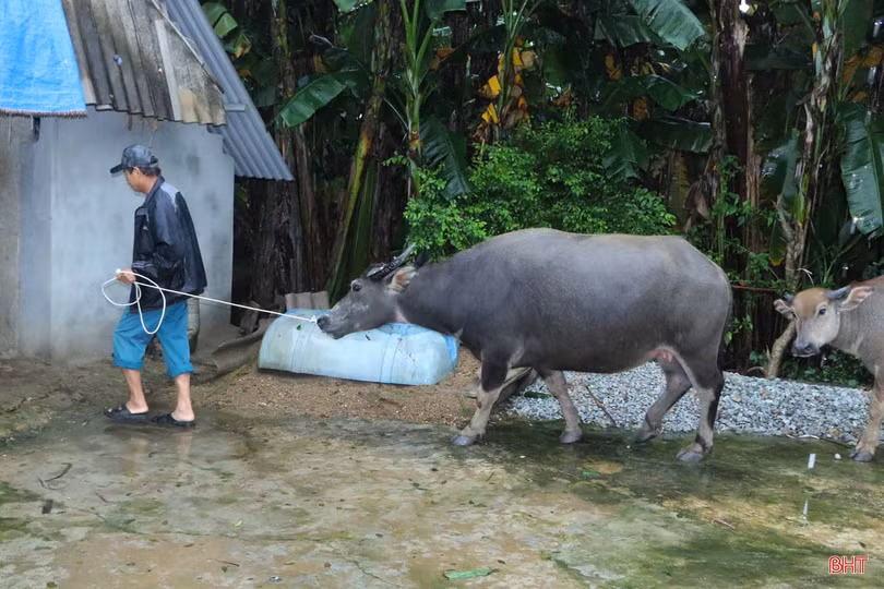 Nước sông Ngàn Sâu lên nhanh, người dân “rốn lũ” Vũ Quang khẩn trương dọn đồ chạy lũ
