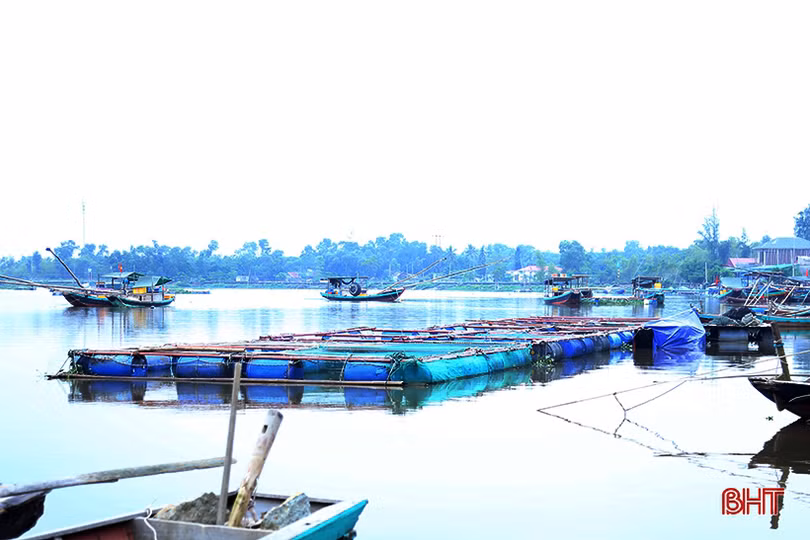 Người dân Hà Tĩnh tất bật bảo vệ ao đầm, lồng bè thủy sản trước bão số 7