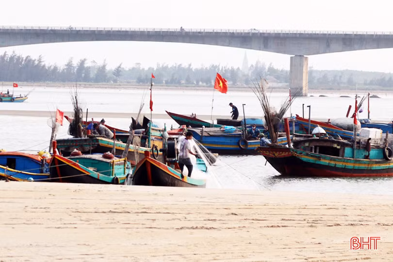 Hải sản tươi sống “đắt khách”, ngư dân Hà Tĩnh phấn khởi vươn khơi