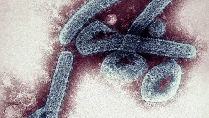Những loại virus nguy hiểm