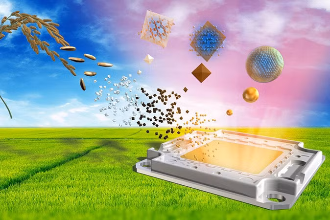 Đèn LED đầu tiên trên thế giới làm từ vỏ trấu